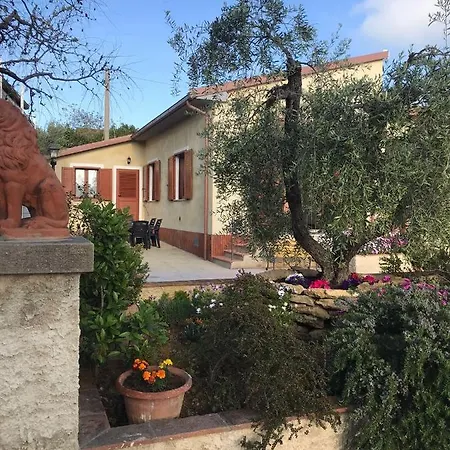 Il Regio Montescudaio